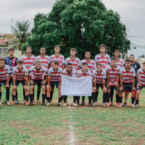 Base: Linense está na final da copa AME